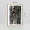 Plakat w ramie 50x70 - Tajemniczy W świecie Nocy - sowa, dziupla - rama drewno