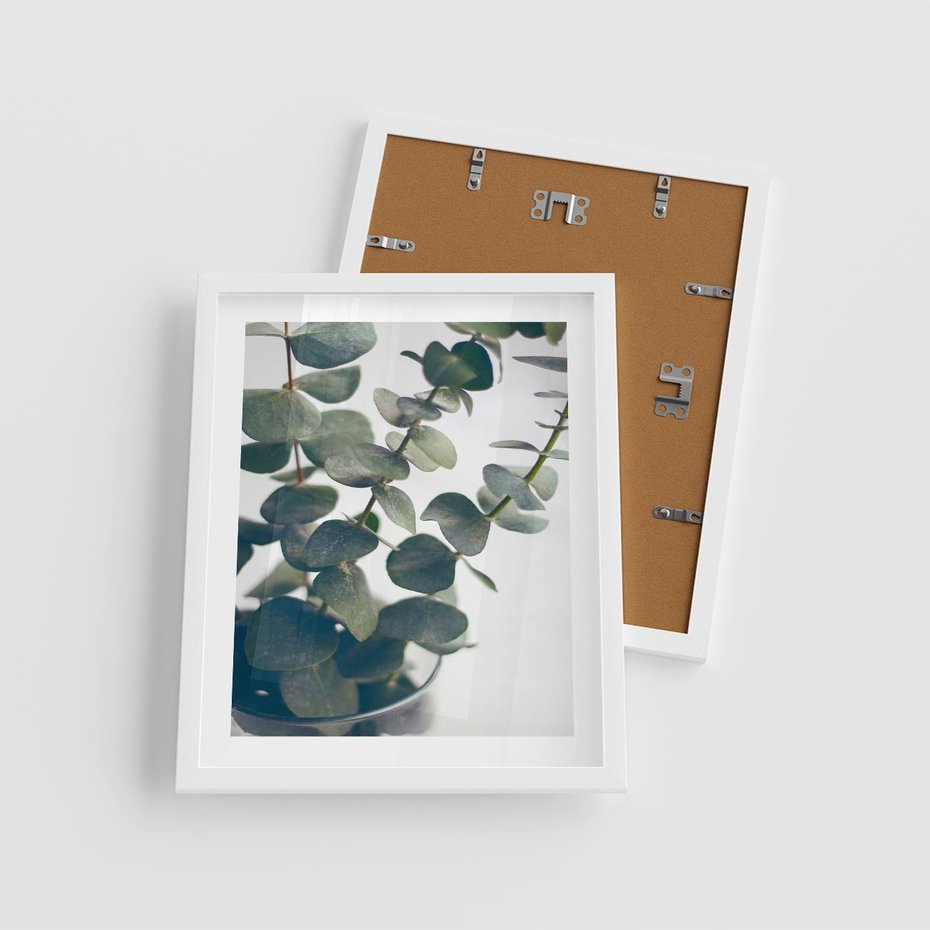 Plakat w ramie 40x50 - ukaliptusowa Harmonia - liście eukaliptusa - rama biała