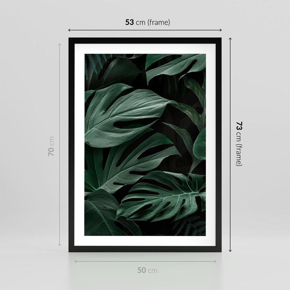 Plakat w ramie 50x70 - Zielone Liście Monstery w Dżungli - zielone liście monstery, dżungla - rama czarna