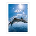 Plakat bez ramy 50x70 - Spotkanie z naturą - morze, delfiny