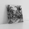 Obraz na płótnie 60x60 - Mroczna Ścieżka Tropików - czarno biała fotografia, ścieżka pośród palm