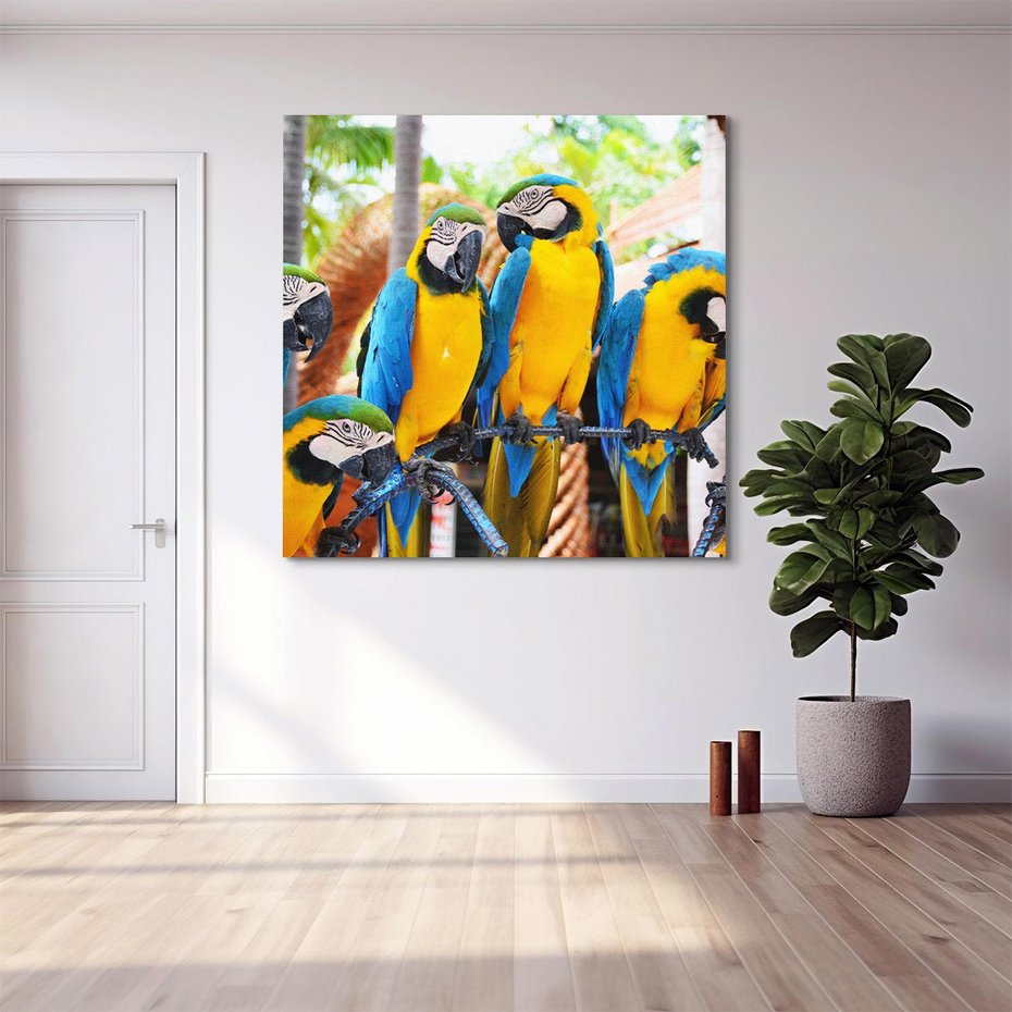 Obraz na płótnie 40x40 - Kolorowa parada papug - papuga, papugi