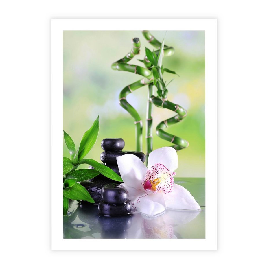 Plakat bez ramy 21x30 - Spa pełne kwiatów i relaksu - spa, kwiat