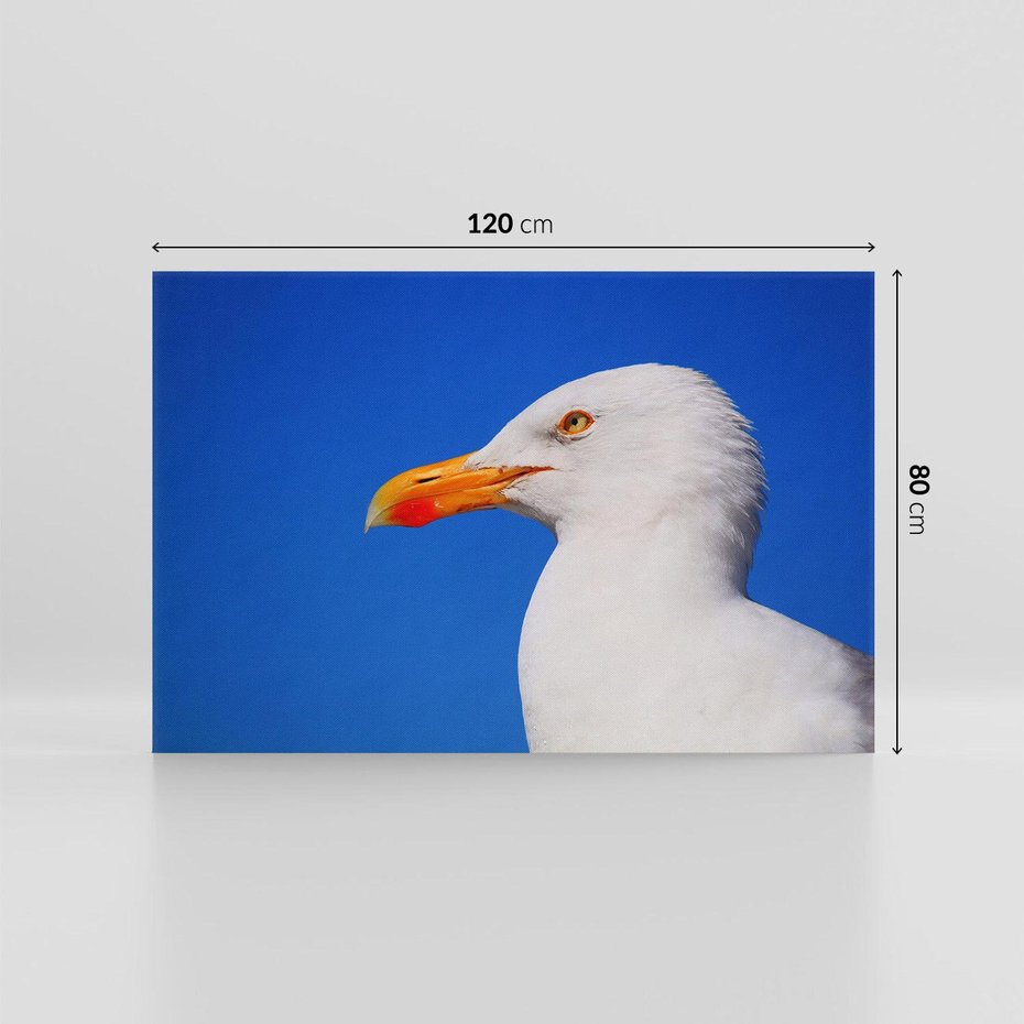 Obraz na płótnie 120x80 - Mewa nad morzem - mewa, pstak