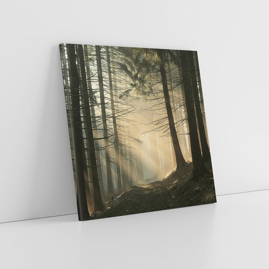 Obraz na płótnie 80x80 - Urok lasu: drzewa w pełnej okazałości - las, drzewa