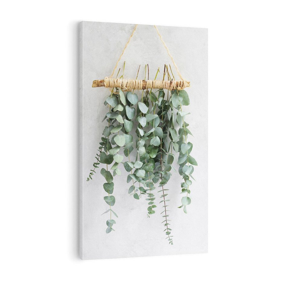 Obraz na płótnie 50x70 - Uwodzicielska zieleń eukaliptusa - eukaliptus, zielone