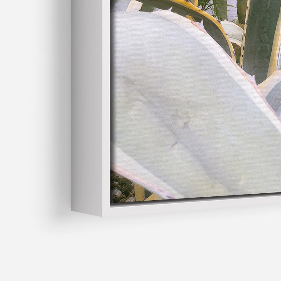 Obraz w ramie 80x120 - Sukulentowe liście - liście, sukulenty - rama biała