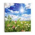 Obraz na płótnie 80x80 - Niebiańska łąka pełna kwiatów - łąka, niebo