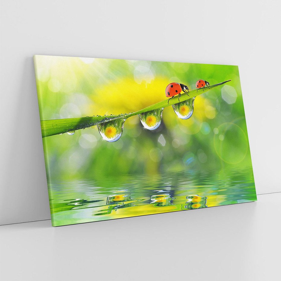 Obraz na płótnie 120x80 - Deszczowa Biedronka - biedronka, deszcz