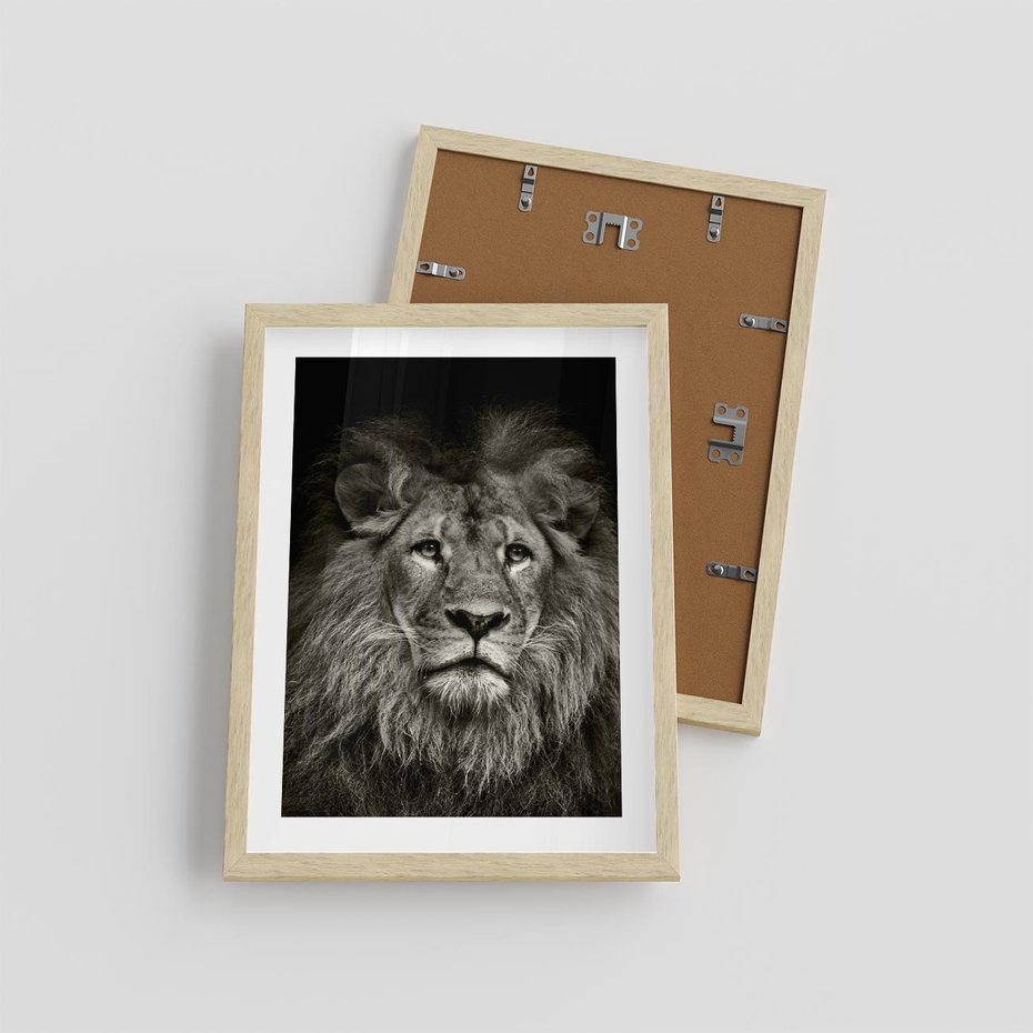 Plakat w ramie 30x40 - Moc lewego spojrzenia - lew, czarno - rama drewno