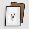 Plakat w ramie 50x70 - Minimalistyczne Poroże Jelenia - poroże jelenia na ścianie, minimalizm - rama czarna