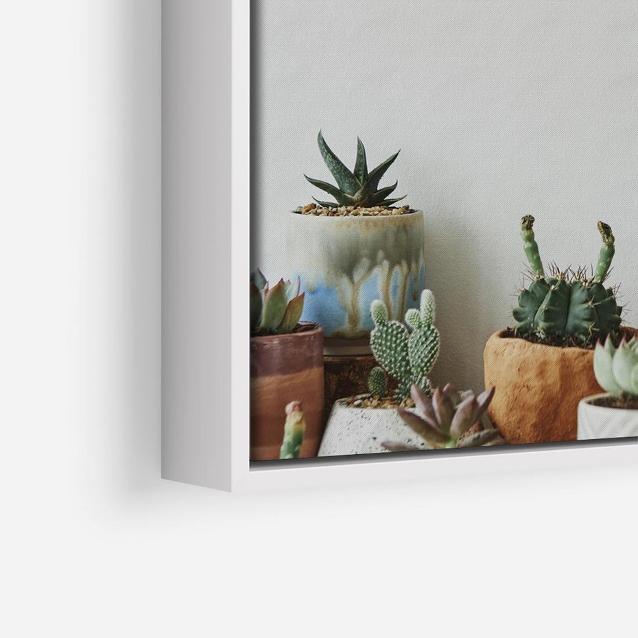 Obraz w ramie 50x50 - Naturalna Harmonia - kaktusy, liście - rama biała
