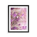 Plakat w ramie 30x40 - Majestat lawendy: fioletowe pola - lawenda, fiolet - rama czarna