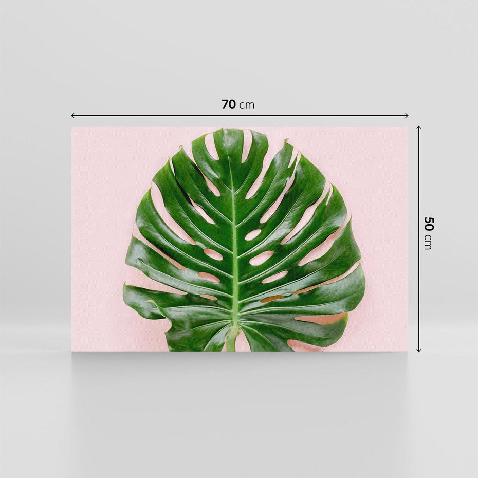 Obraz na płótnie 70x50 - Egzotyczna Roślinność - liście, monstera