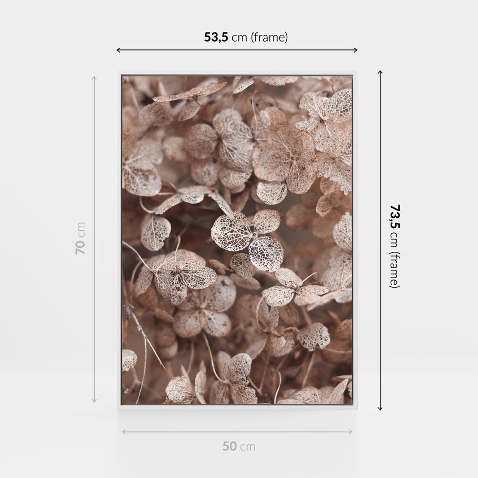 Obraz w ramie 50x70 - Przemijająca Piękność - fotografia, zbliżenie - rama biała