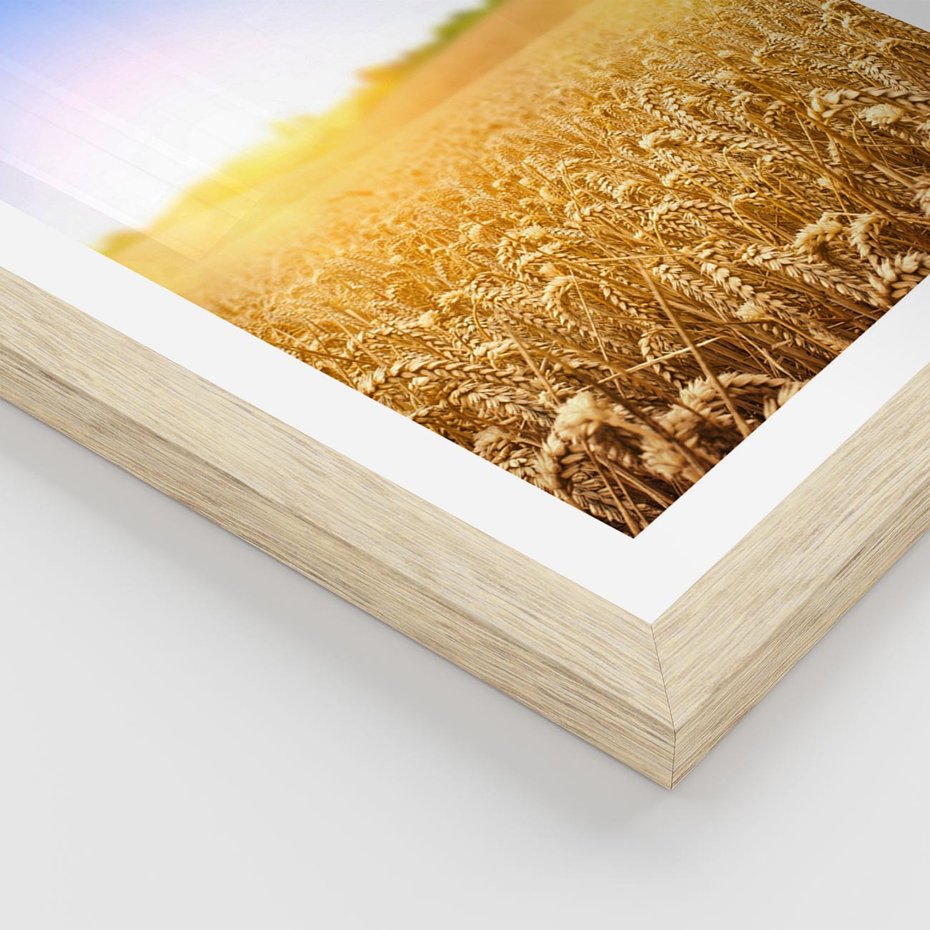Plakat w ramie 40x50 - Żyzne Pola - pole, pszenicy - rama drewno