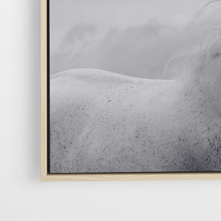 Obraz w ramie 70x50 - Moc i Wolność - czarno biała fotografia, biały - rama drewno