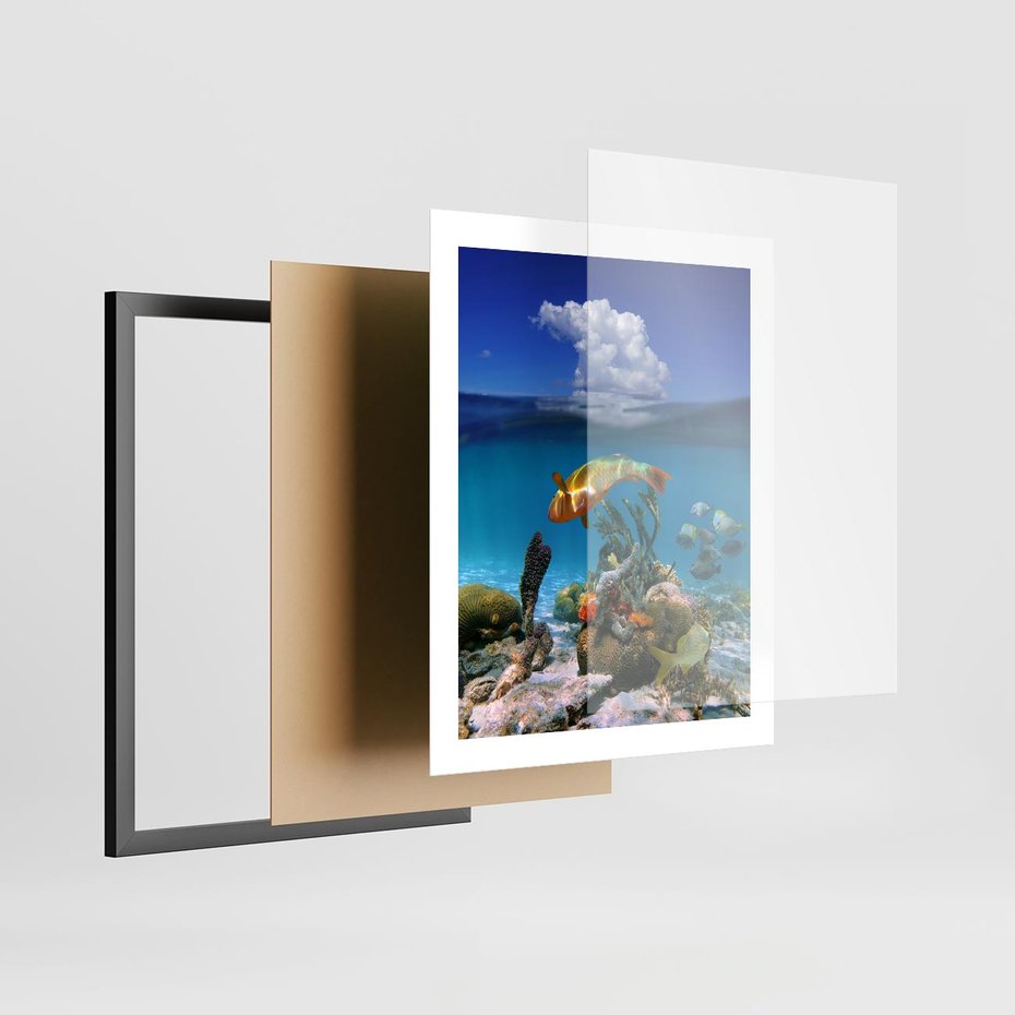 Plakat w ramie 40x50 - Podwodna rafa koralowa: kolorowy oceanowy świat - rafa, koralowa - rama czarna