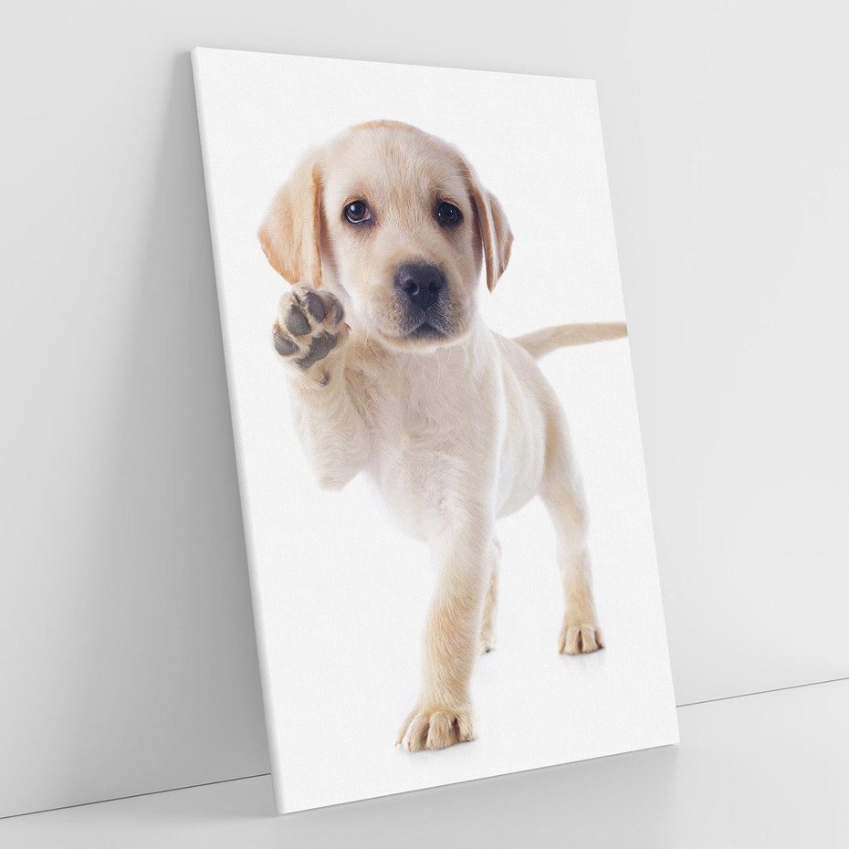 Obraz na płótnie 70x100 - Szczeniak pełen radości - piesek, szczeniak