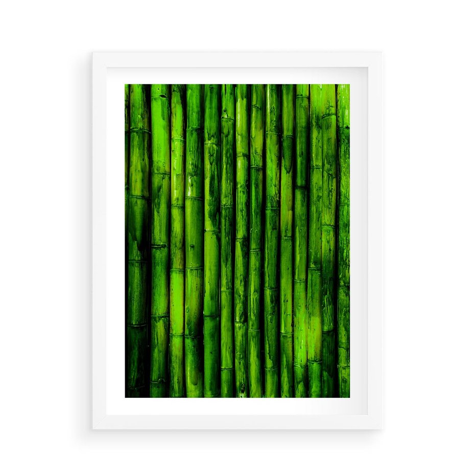 Plakat w ramie 50x70 - Bambusowy urok zielonej harmonii - bambus, zieleń - rama biała