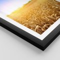 Plakat w ramie 50x70 - Żyzne Pola - pole, pszenicy - rama czarna