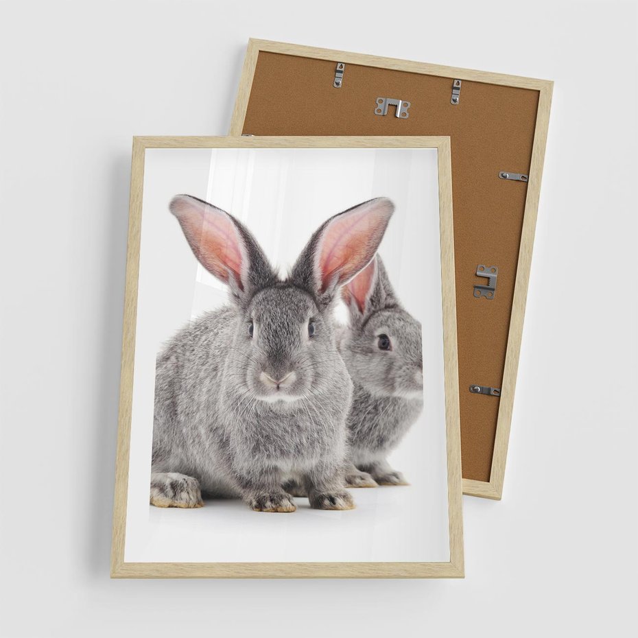 Plakat w ramie 50x70 - Uroczy królik wśród natury - królik, zając - rama drewno