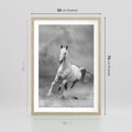 Plakat w ramie 50x70 - Elegancja w Czarno-Białym - koń, biało - rama drewno
