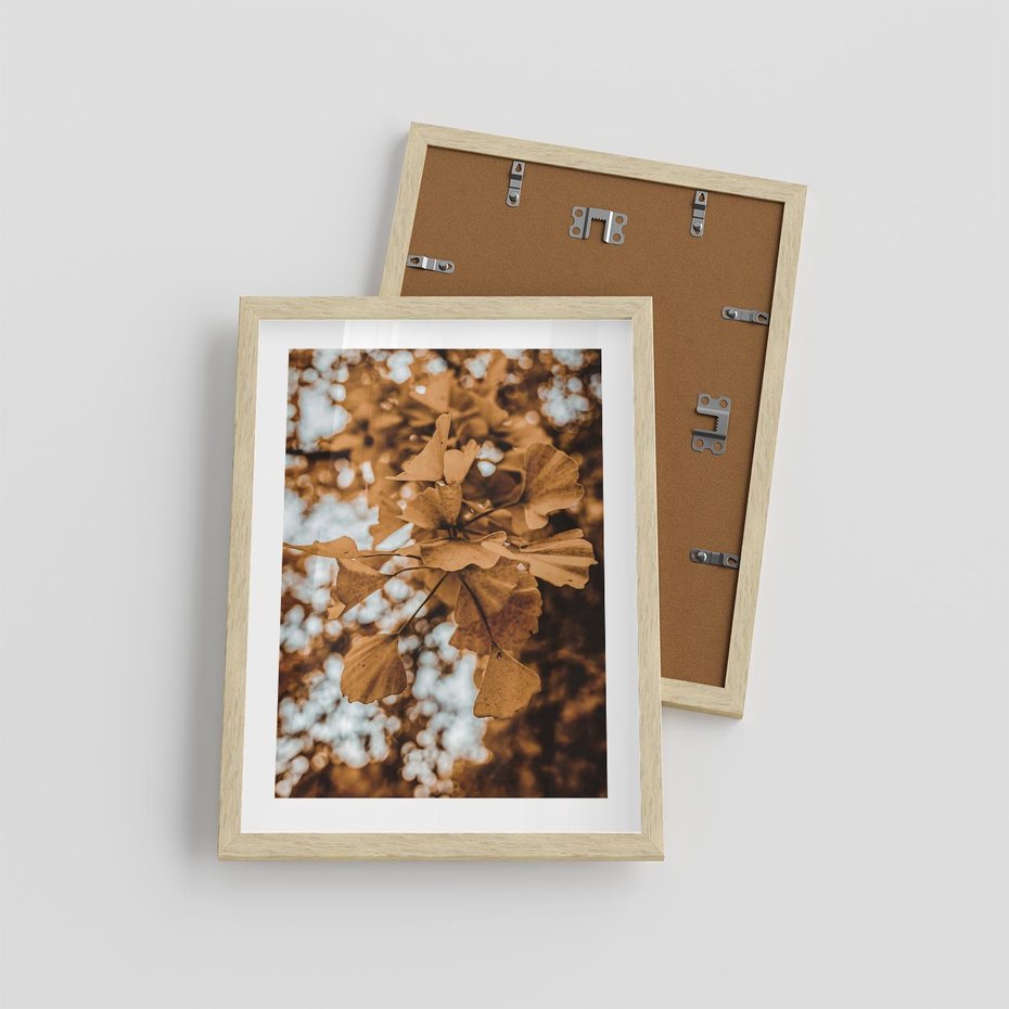 Plakat w ramie 30x40 - Nostalgiczny Miłorząb - miłorząb, liście - rama drewno