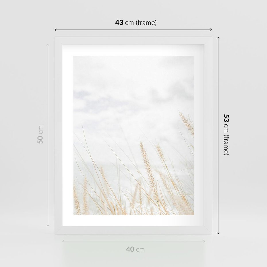 Plakat w ramie 40x50 - Jasna Delikatność: Fotografia Suchych Traw - suche trawy, jasna fotografia - rama biała