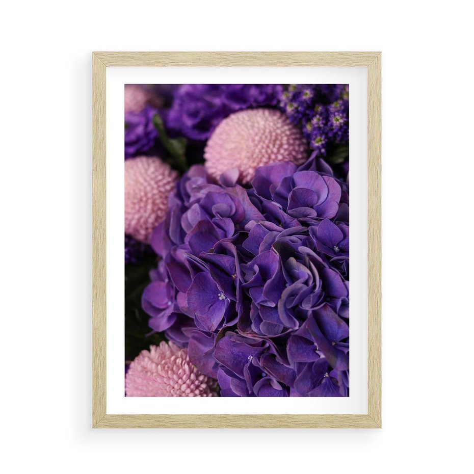 Plakat w ramie 50x70 - Fioletowa hortensja - kwiaty, hortensja - rama drewno