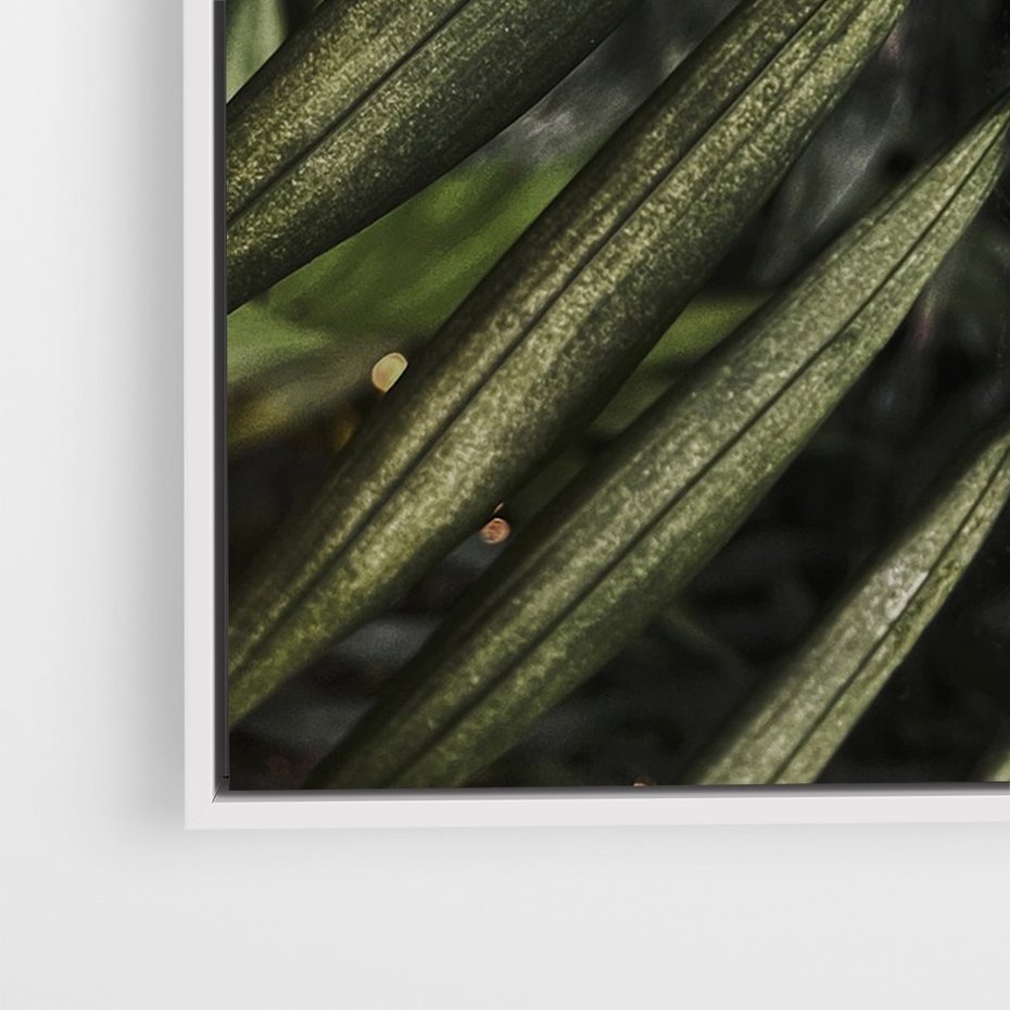 Obraz w ramie 70x100 - W Liściach Ukryte - zdjęcie, fotografia - rama biała