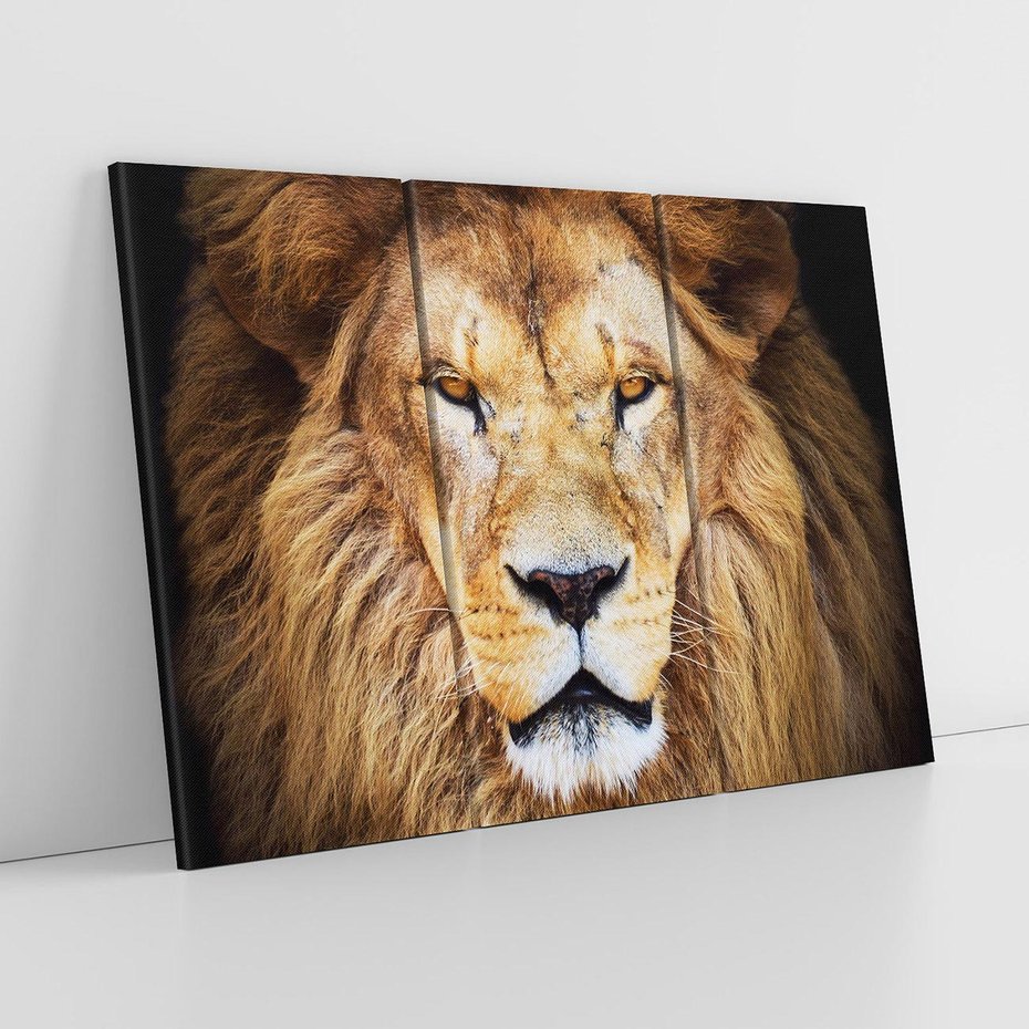 Obraz na płótnie 120x80 - Król zwierząt w majestatycznym stylu - lew, król