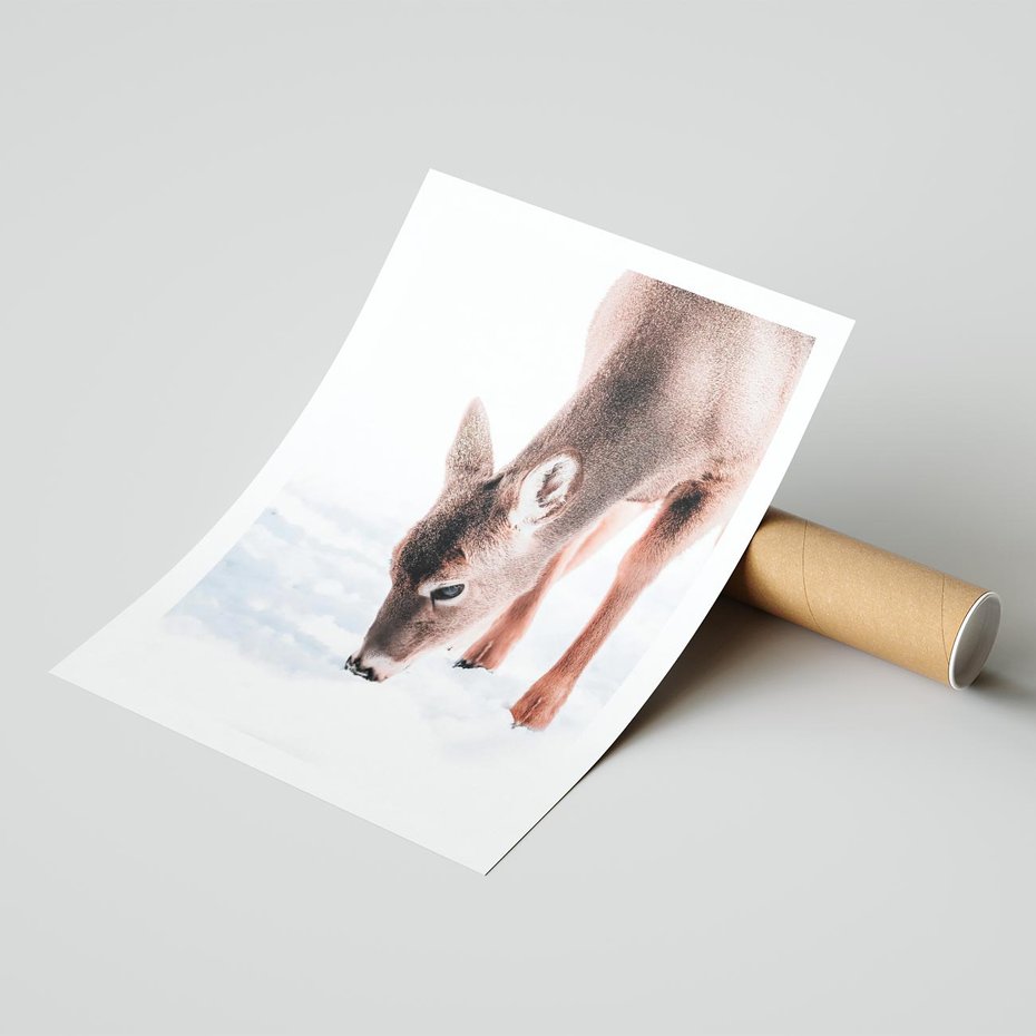 Plakat bez ramy 30x40 - Sarna w Zimowym Raju - sarna, na śniegu