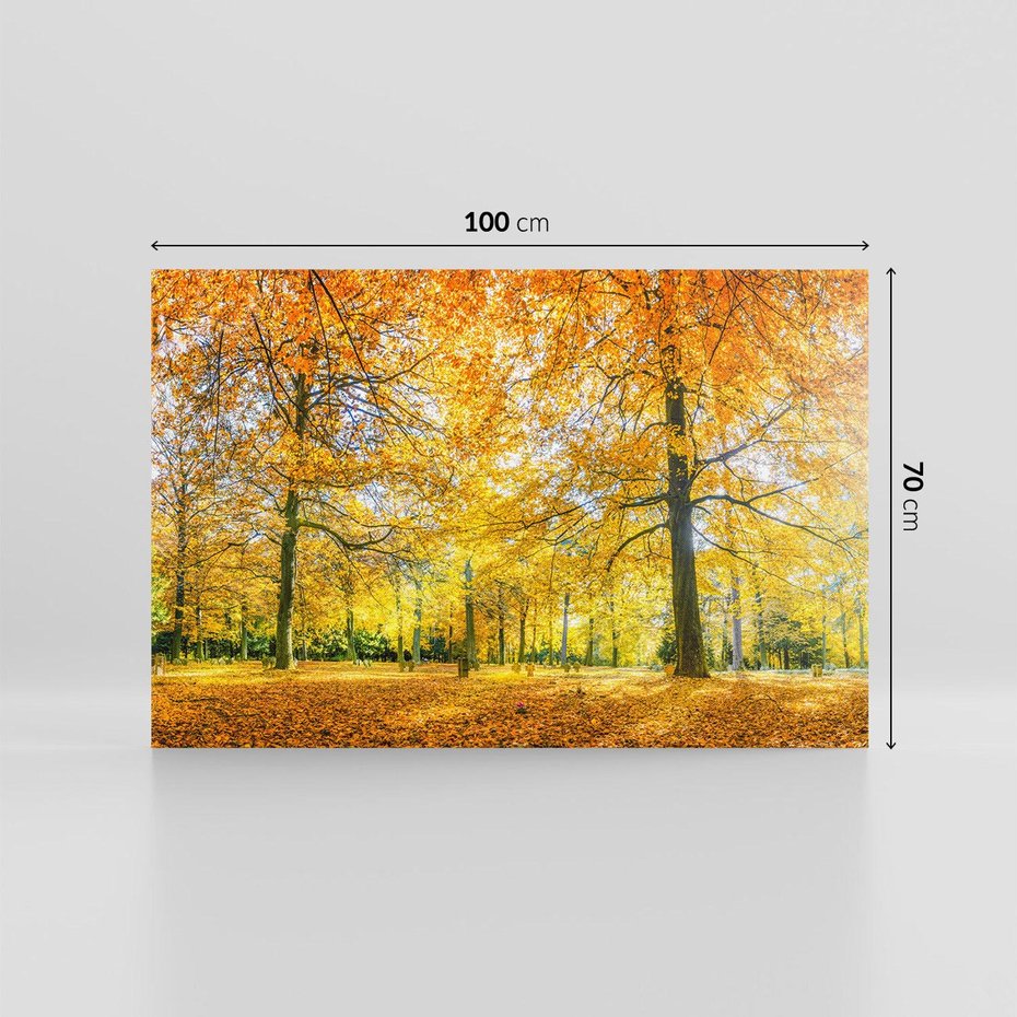 Obraz na płótnie 100x70 - Jesień w Lesie: Urok Lasu - jesień, las