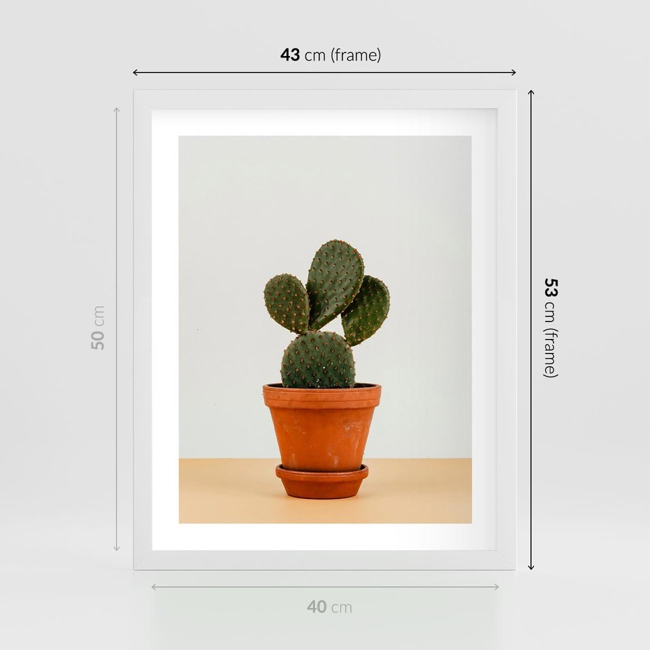 Plakat w ramie 40x50 - Kwiatowy taniec kaktusa - kaktus, kwiat - rama biała