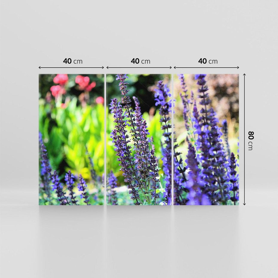 Obraz na płótnie 120x80 - Ogród Lawendowy - lawenda, kwiat