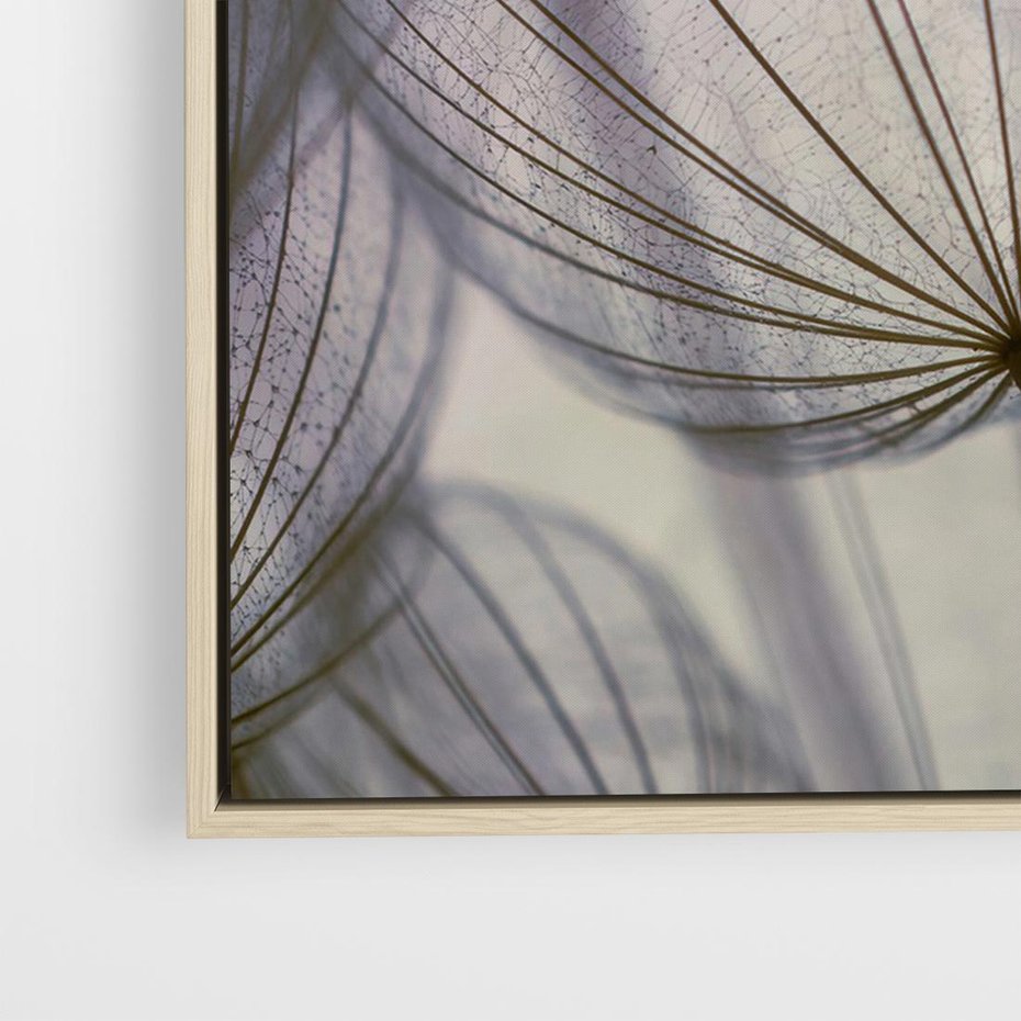 Obraz w ramie 70x50 - Makro dmuchawiec - piękno drobnych detali - dmuchawce, makro - rama drewno