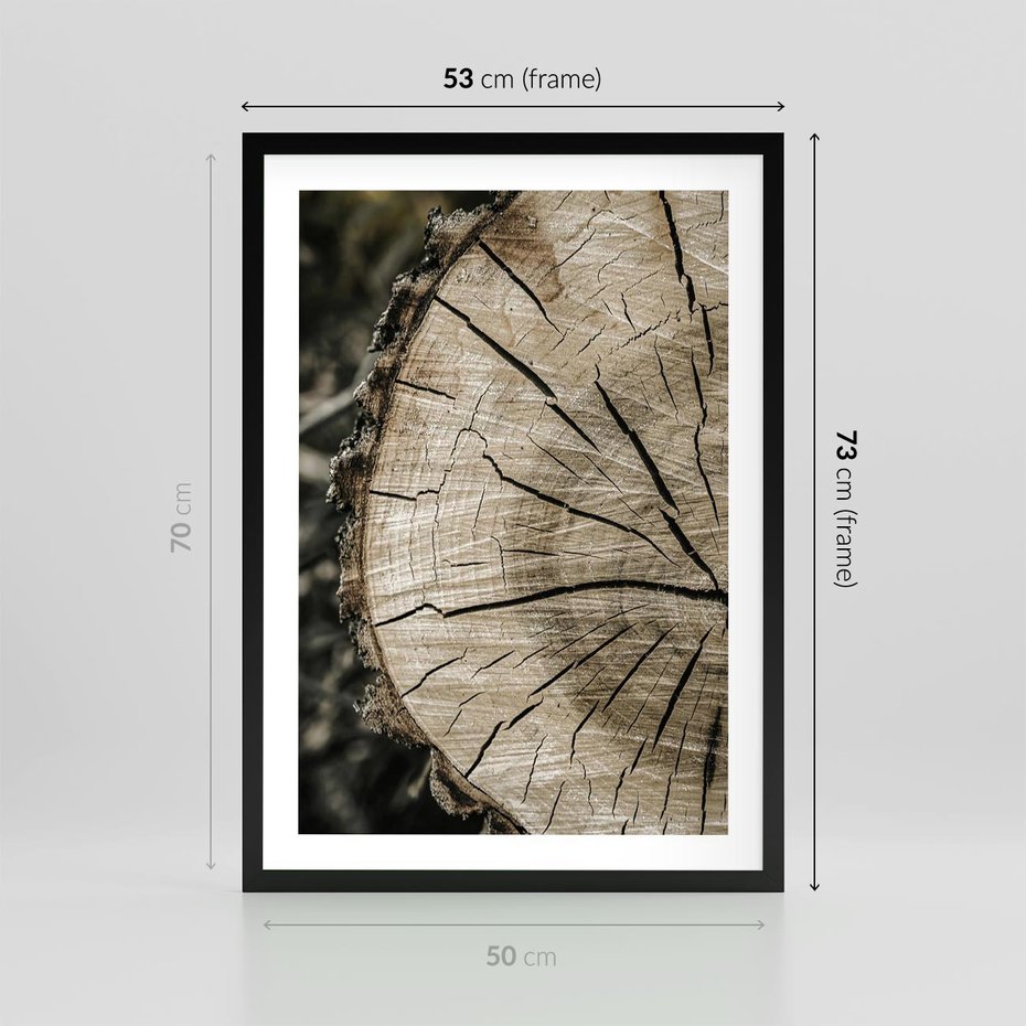Plakat w ramie 50x70 - Wnętrze Natury - pień, przecięty pień - rama czarna