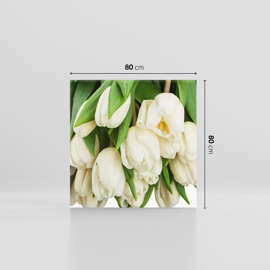 Obraz na płótnie 80x80 - Białe tulipany w pełnym rozkwicie - białe, tulipany