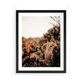Plakat w ramie 40x50 - Jesienna Harmonia - suche paprocie, jesienny krajobraz - rama czarna