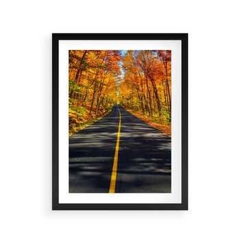 Plakat w ramie 40x50 - Droga przez jesienny las - droga, las - rama czarna
