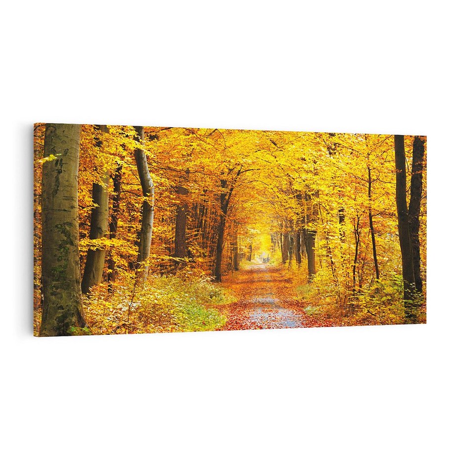 Obraz na płótnie 120x60 - Jesień w lesie - las, drzewa