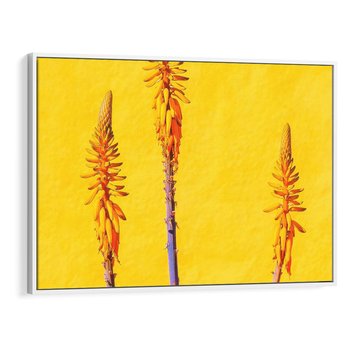 Obraz w ramie 120x80 - Radość Natury - kolor, kwiaty - rama biała