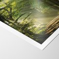 Plakat bez ramy 30x40 - harmonia natury - las, drzewa
