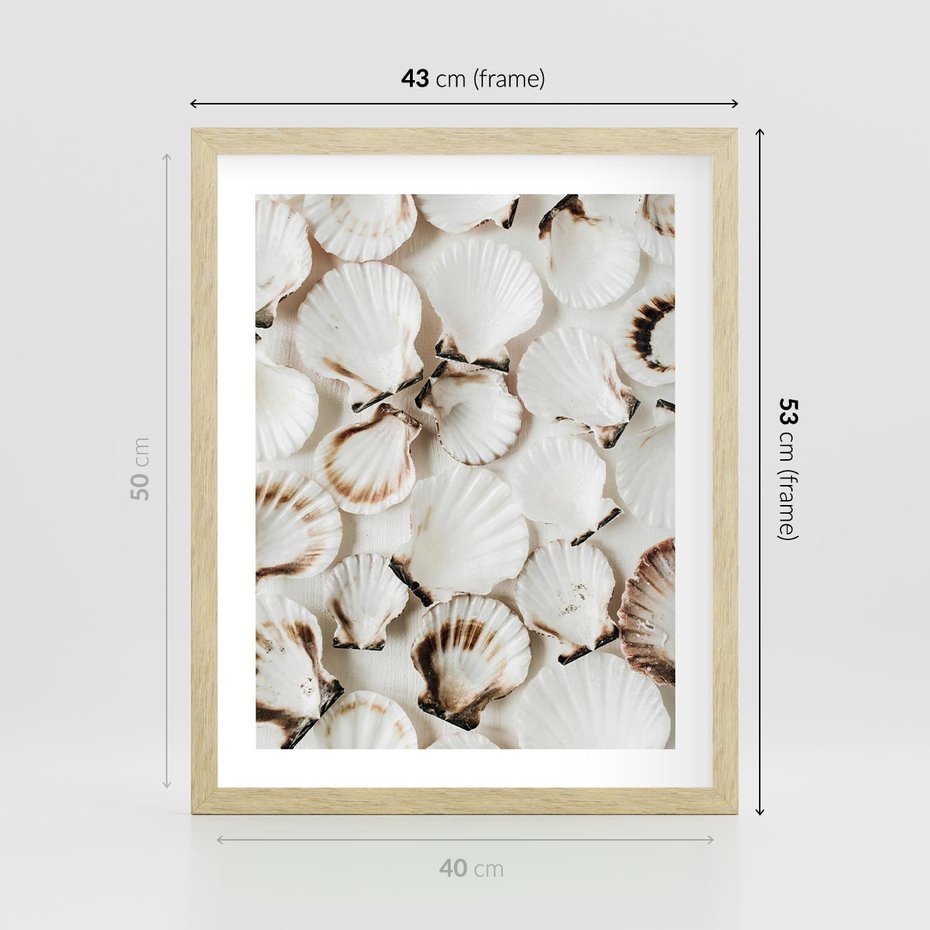 Plakat w ramie 40x50 - Białe Muszle - białe muszle, ujęcie z góry - rama drewno