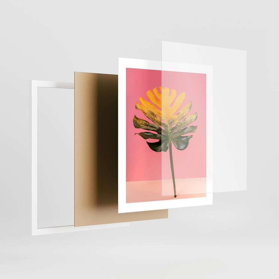 Plakat w ramie 40x50 - Majestatyczna monstera - monstera, liść - rama biała