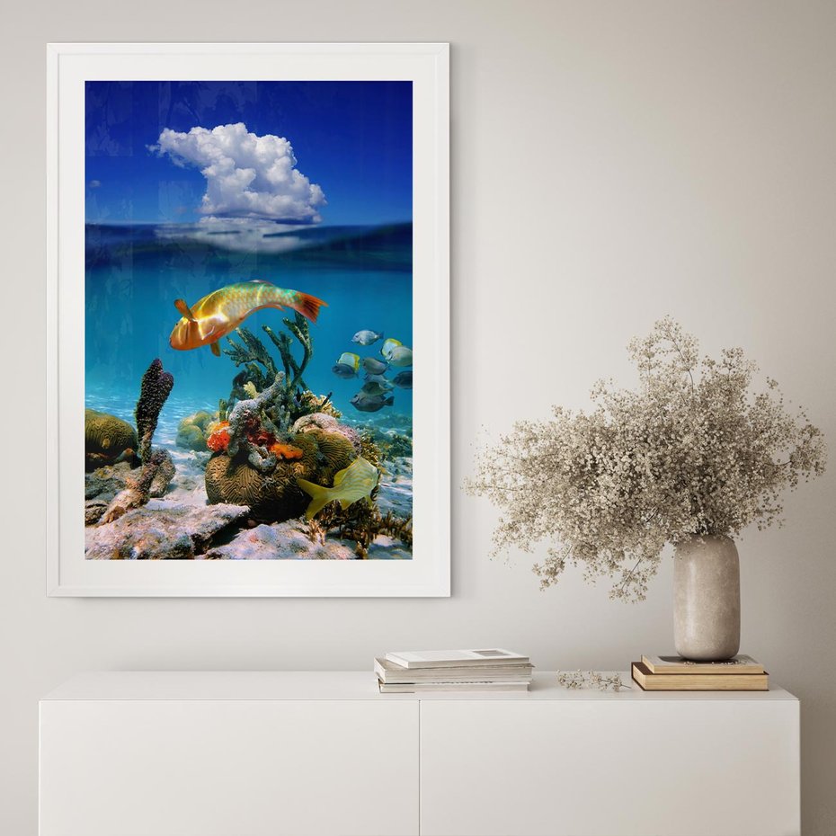 Plakat w ramie 40x50 - Podwodna rafa koralowa: kolorowy oceanowy świat - rafa, koralowa - rama biała
