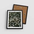 Plakat w ramie 40x50 - Stokrotkowa Idylla na Łące - łąka, stokrotki - rama czarna