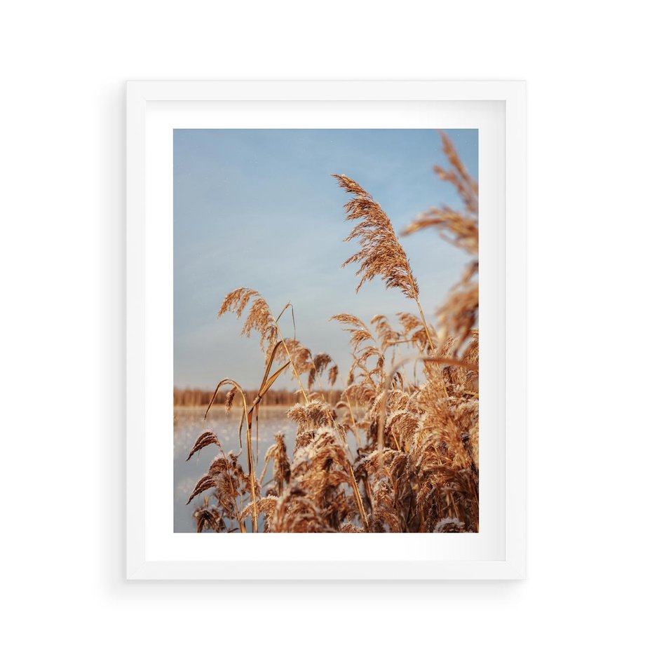 Plakat w ramie 40x50 - Wyraz Stylu - trawy, boho - rama biała