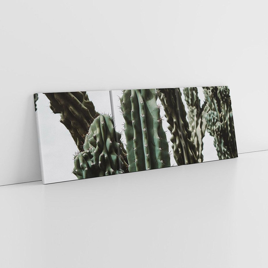 Obraz na płótnie 150x50 - Boho oaza wśród kaktusów - kaktusy, pustynia